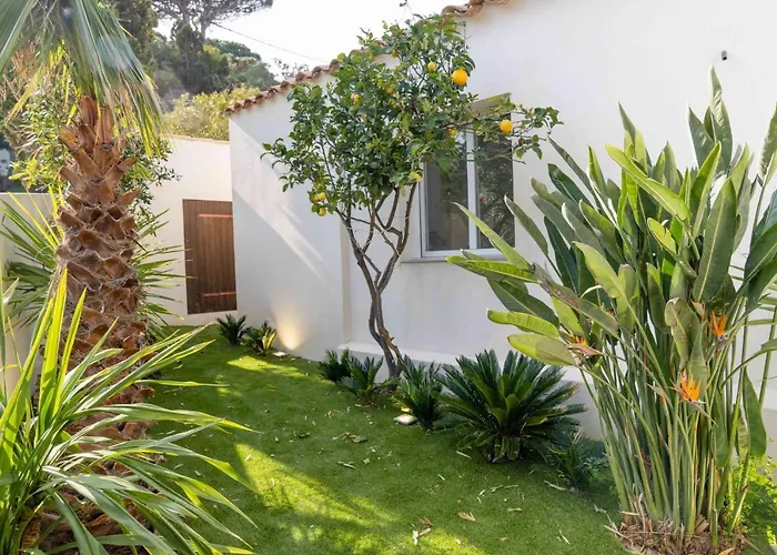 8 Pers A 30m De La Vila